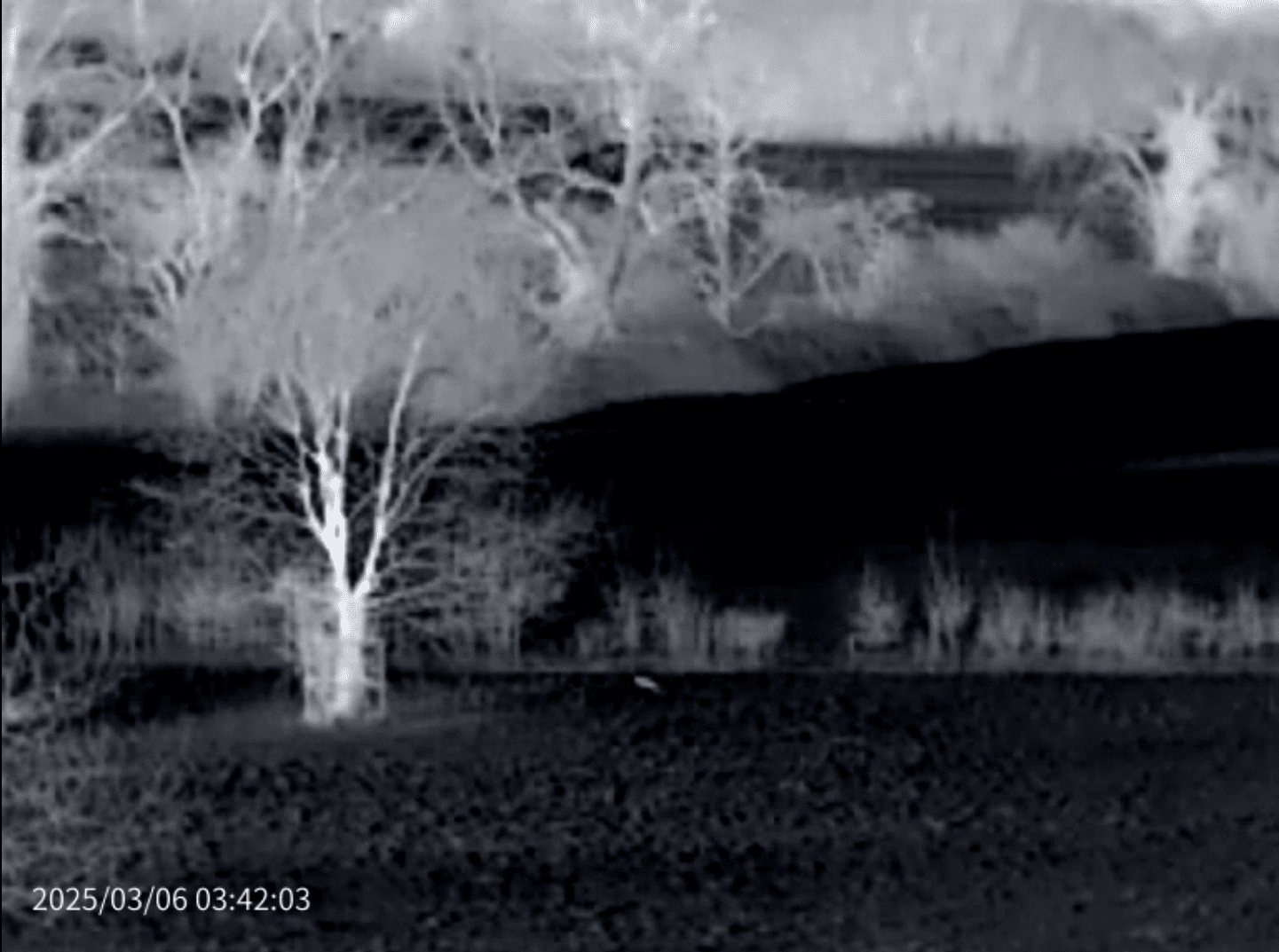 Thermal Master DV2 Thermal Camera Touchscreen - Longshot Tactical