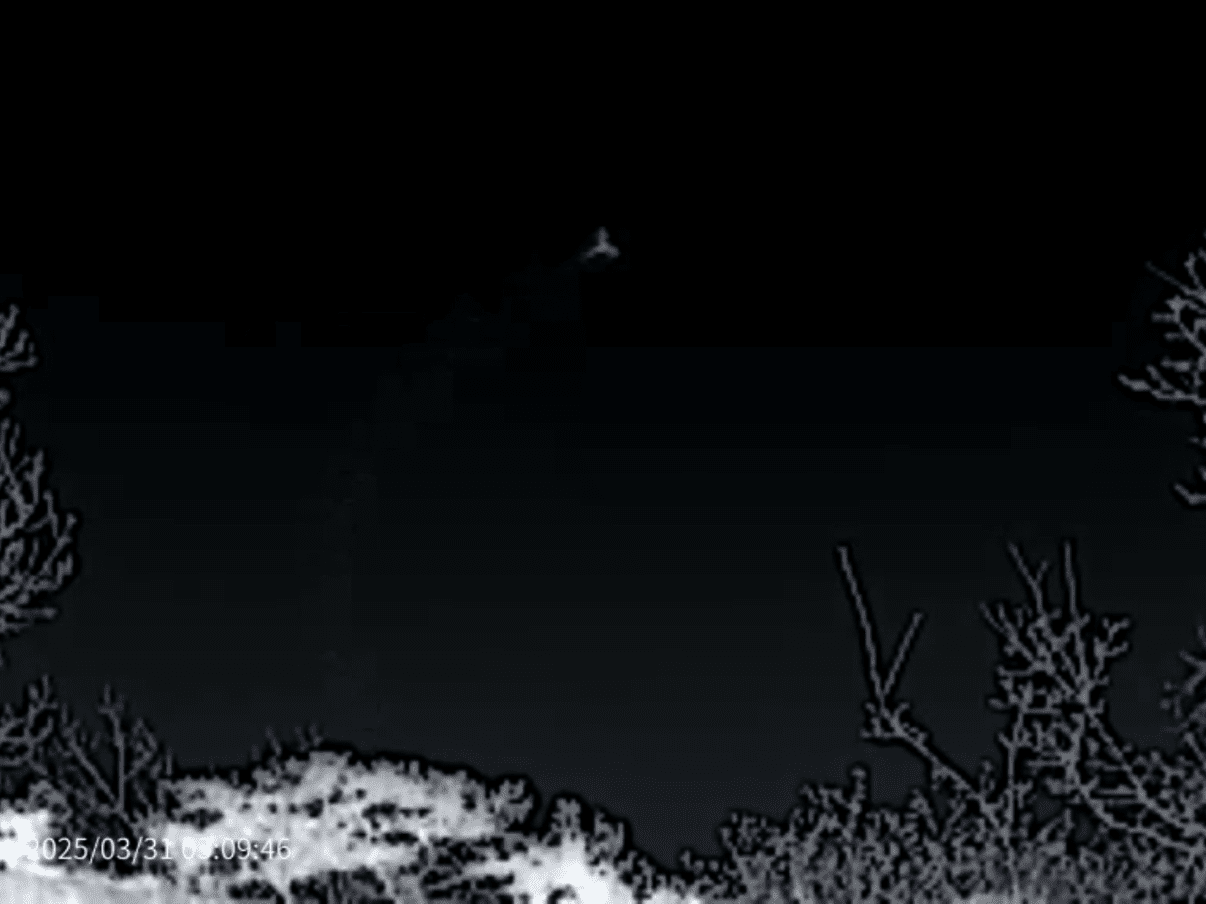 Thermal Master DV2 Thermal Camera Touchscreen - Longshot Tactical