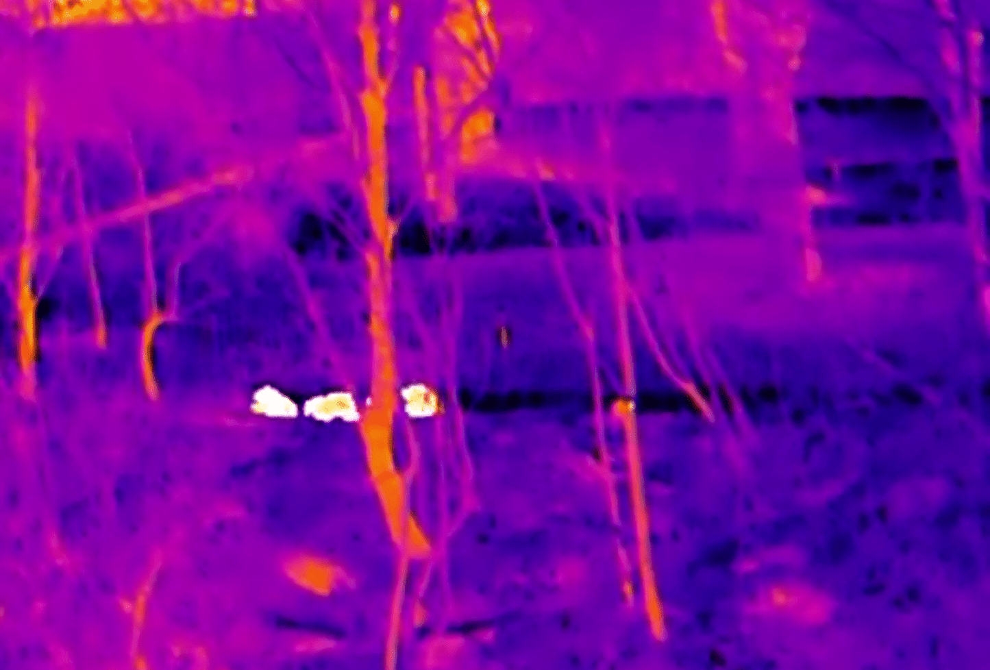 Thermal Master DV2 Thermal Camera Touchscreen - Longshot Tactical